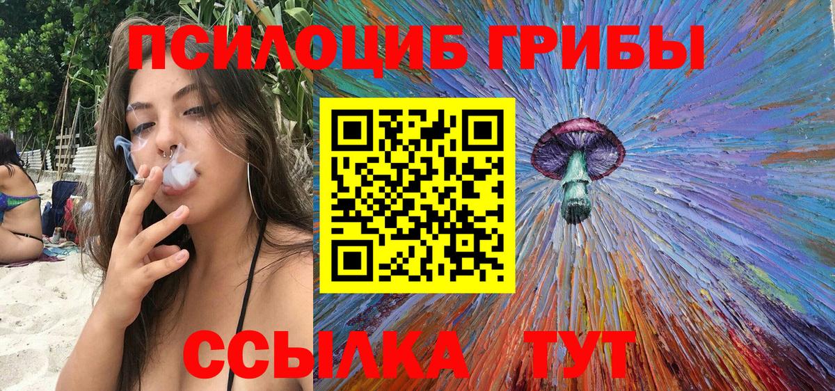 Галлюциногенные грибы прущие грибы  Вход с VPN  Заречный 