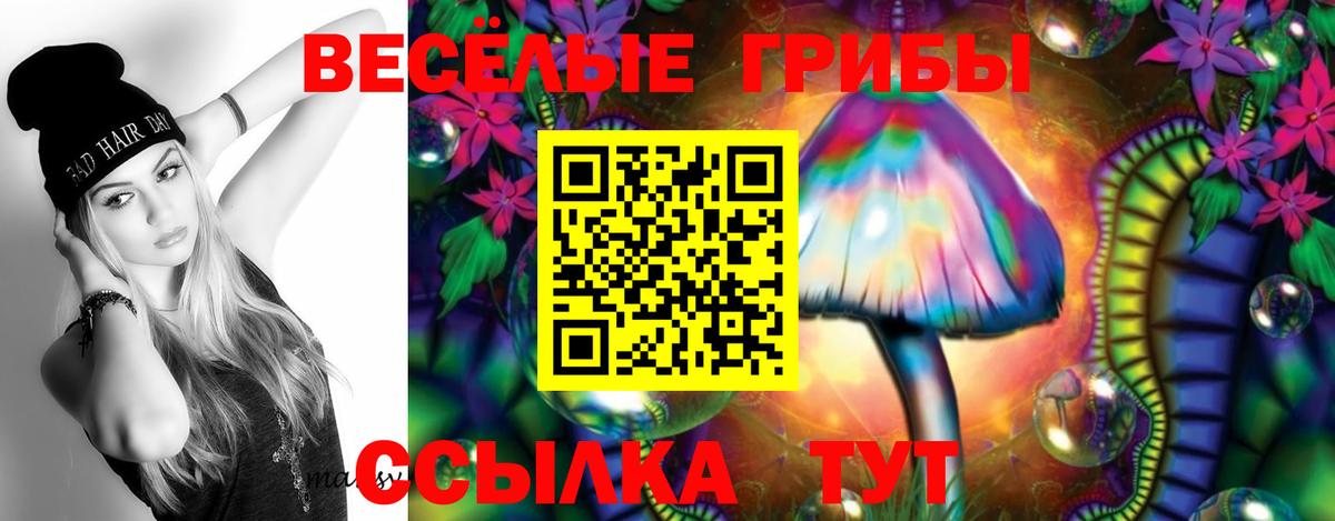Галлюциногенные грибы Psilocybine cubensis Заречный